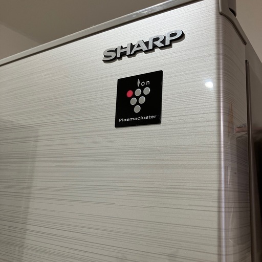 シャープ SHARP プラズマクラスター冷蔵庫 （502L・フレンチドア） 6ドア シルバー系 SJ-F502E-S