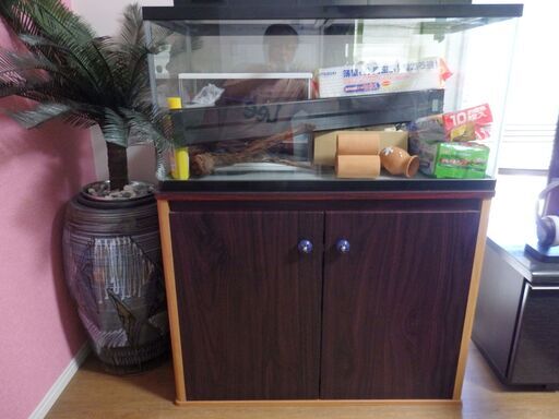 那覇～引き取り限定品★水槽【９０サイズ】＆水槽台＆鑑賞ヤシ【つぼ付き】