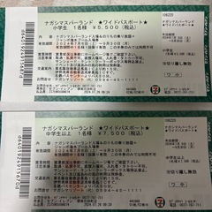 ナガシマスパーランドワイドパスポート
