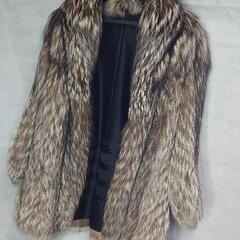 サガフォックスの中古が安い！激安で譲ります・無料であげます｜ジモティー