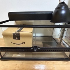 爬虫類飼育セット総額3万ちょい
