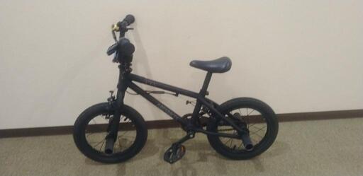 ARESBIKES　FTN　14インチ