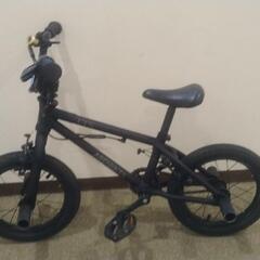 ARESBIKES FTN 14インチ