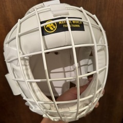 空手　格闘技用のミット等4点セット