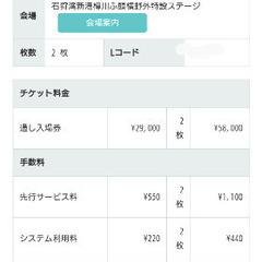 RISING SUN ROCK FESTIVAL 2024 通し券2枚