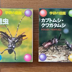 図鑑　昆虫、カブトムシ　クワガタムシ　子供　学研　夏休み