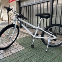🔹キッズバイク🔹 RITEWAY 24インチ(115-135cm)