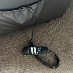 《美品中古》電動リクライニングチェア-ポロラルフローレン ポロベア プリントスエット グレー XL 熊 動物プリント