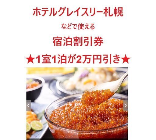 ホテルグレイスリー札幌などで使える宿泊割引券★1室1泊が50%オフ★　　　d4