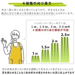 ⭐︎庭で1回のみ使用⭐︎キンボシ芝刈り機