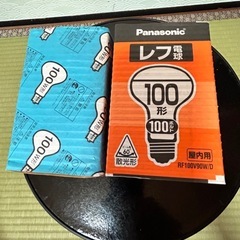 レフ電球100型100V
