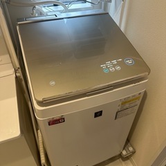 SHARP製洗濯乾燥機 2019年製 - 洗濯機 