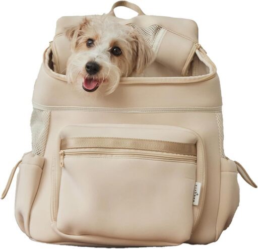 [citydog/シティドッグ] ネオプレーンバックパックキャリー  犬 リュック  中型犬 軽い 洗える 　サイズ：M