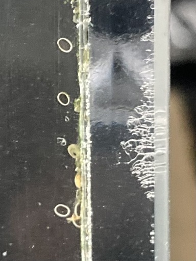 カンテツ製 120×60×45 上部濾過層と水槽台セット カンテツ製 120×60×45 上部濾過層と水槽台セット カンテツ製