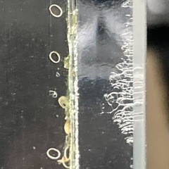 カンテツ製 120×60×45 上部濾過層と水槽台セット