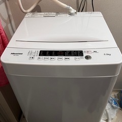 HISENSE 洗濯機HW-K55E 5.5kg 2020年製