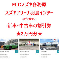 【ネット決済・配送可】FLCスズキ各務原/スズキアリーナ羽島イン...