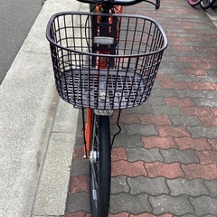 🚴 ステップクルーズ 