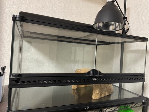ジェックス フトアゴヒゲトカゲ\u0026リクガメ飼育セット