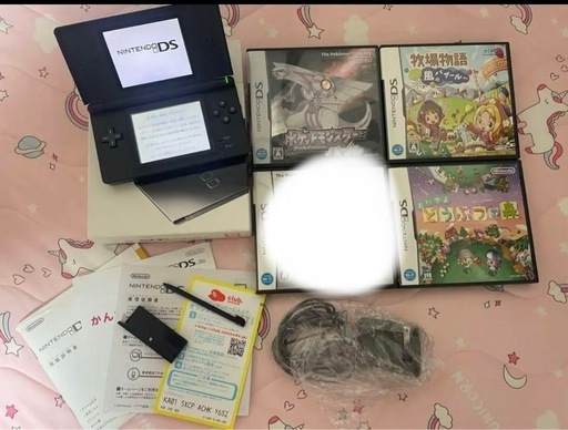 NINTENDO DS ニンテンド-DS LITE 本体 + ソフト4点セット