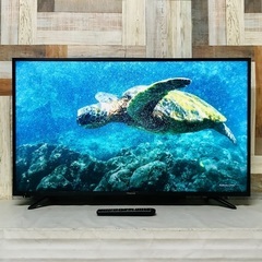 即日受渡❣️ハイセンス 4K43型VAパネル 元箱付 外付けHDD対応 24500円