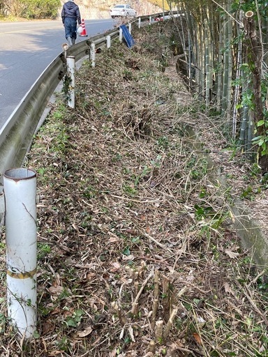 除草作業