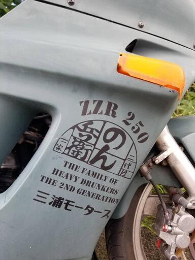 ZZR250 EX250H カワサキ KAWASAKI 車体 250cc 動画有 さいたま市桜区発