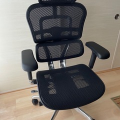 【ほぼ新品】エルゴヒューマン プロ2  