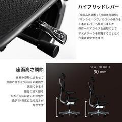 【ほぼ新品】エルゴヒューマン プロ2  