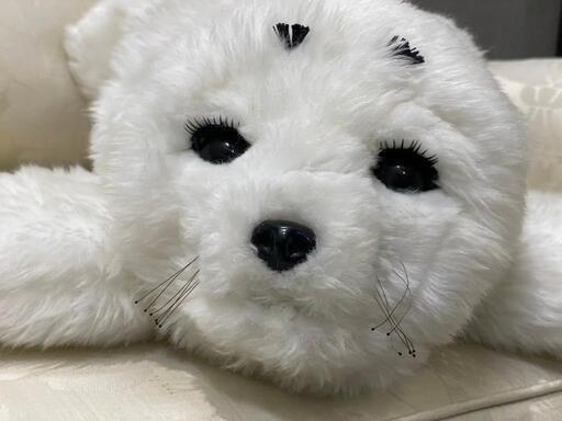 めちゃ可愛い！アザラシ型メンタルコミットロボット PARO パロ