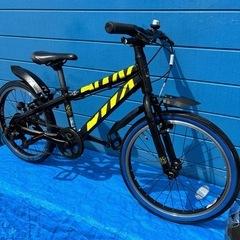 BRIDGETONE BWX 20 インチ6変速