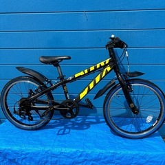 BRIDGETONE BWX 20 インチ6変速