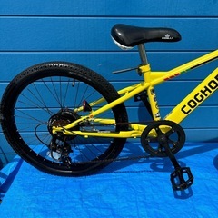 COGHORN  USA 22インチ6変速