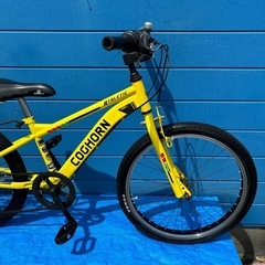 COGHORN USA 22インチ6変速