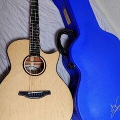 Naga Guitars S-60GAC　アコギ　中古　純正ケースあり　美品です