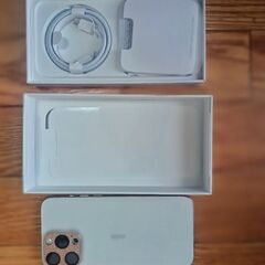 iPhone 15 pro max 256 SIM free