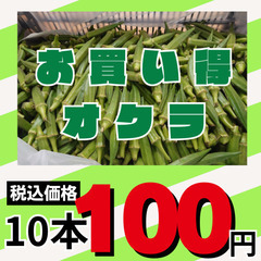 8/1(木）オクラ(伊勢崎市産)　B品の為　数量限定　10本100円