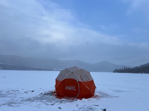 クイックドームテント パオグラン ラージ 330 PX022L プロックス