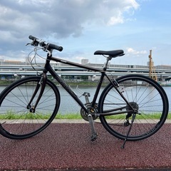 GIANT(ジャイアント)クロスバイク・ブラウン