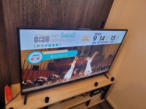 テレビ TV