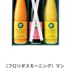 果汁100%ジュース500ml × 2本