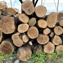 静岡県の玉切りの中古が安い！激安で譲ります・無料であげます｜ジモティー 