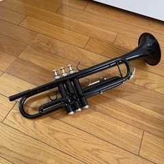 プラスチック トランペットの中古が安い！激安で譲ります・無料で  