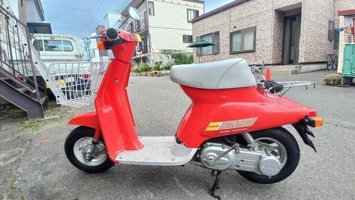 suzuki ＣＹ５０・・・薔薇（２ｓｔ）
