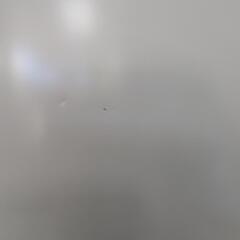 TOSHIBA　153L 2ドア冷凍冷蔵庫　GR-U15BS(W) 2023年製