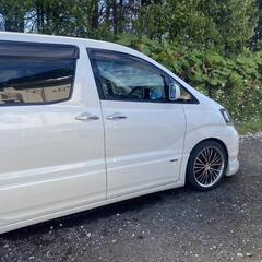 マーベリック　ホイール　19ｲﾝﾁ　