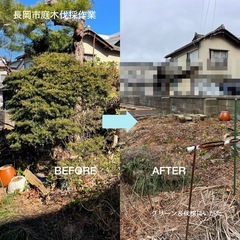 庭木伐採 お悩み解決　安心の地元密着店