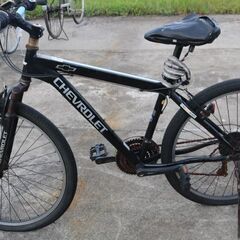 有名　ジャイアント　マウンテン　アルミ　24段　ちょっと修理ベース 有名 ジャイアント マウンテン アルミ 24段 ちょっと修理ベース