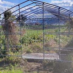ビーニールハウス　パイプハウス