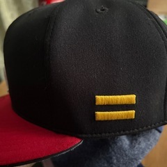 ソフトバンクの東浜投手が使っていた帽子